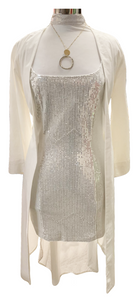 Silver Sequins Glitter Dress - Accents Dallas